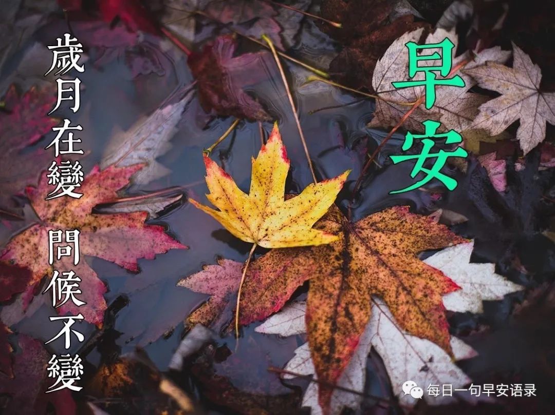 鸡汤心灵奋斗_心灵鸡汤努力_越努力越幸运心灵鸡汤