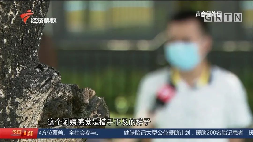 祥乐家政在哪里_广州祥乐家政怎么样_广州祥乐家政公司