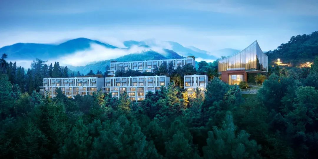 宁波家政大型公司排名_宁波大型家政公司_宁波家政大型公司招聘信息