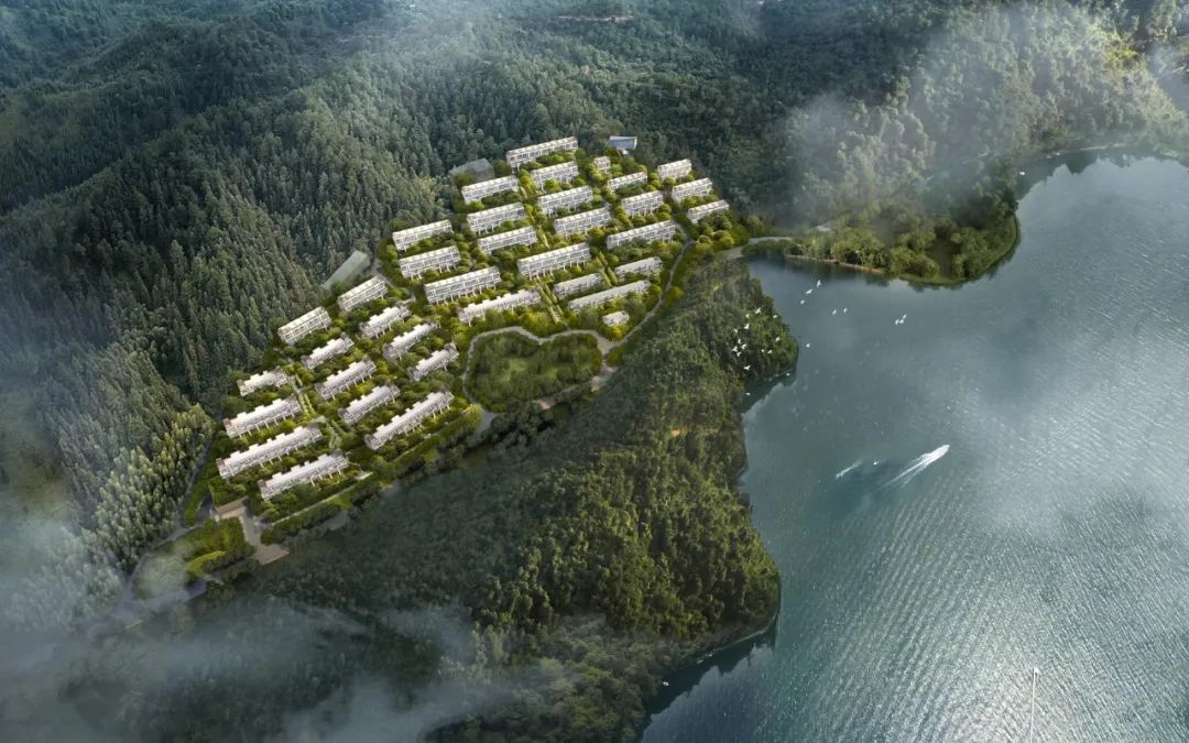 宁波家政大型公司排名_宁波家政大型公司招聘信息_宁波大型家政公司