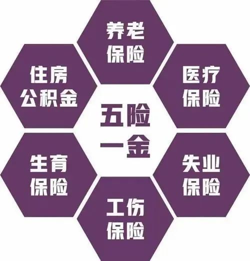招聘_招聘平台免费_招聘上哪个网站