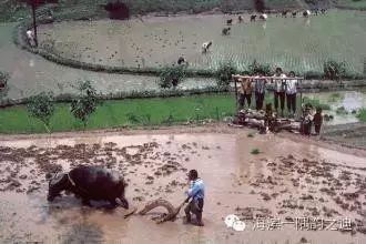 心灵鸡汤课件_教室里的心灵鸡汤下载_心灵鸡汤歌词何教授