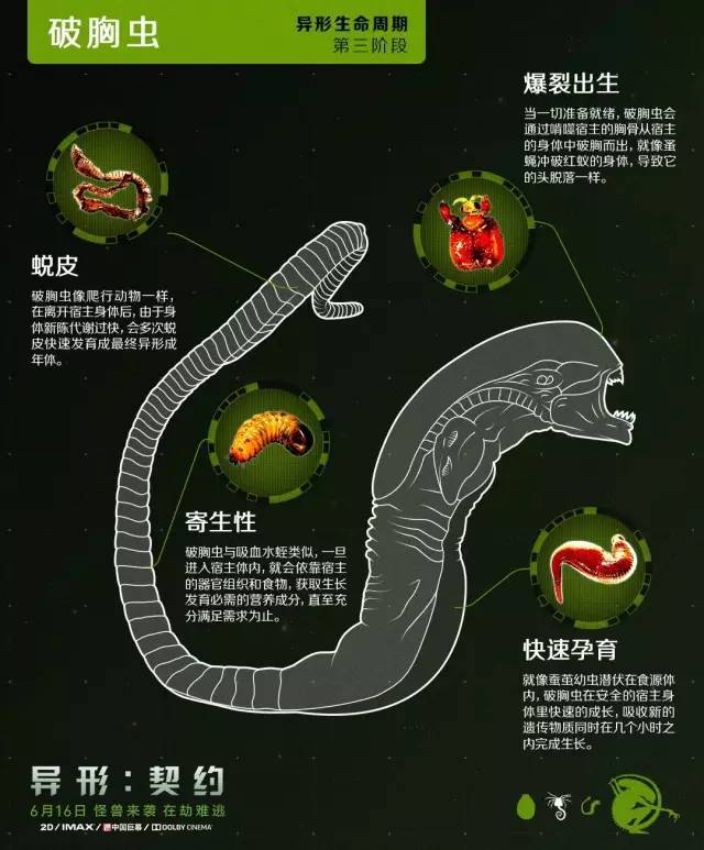 福建钢结构防腐公司_福建钢结构_福建钢结构公司排名