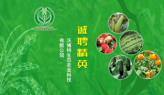 云南八方农业科技发展有限公司招聘