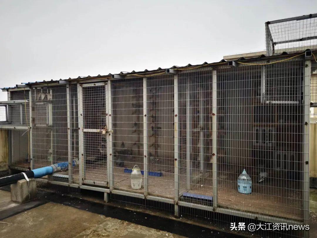 芜湖春天里是安置房吗_芜湖春天里一号楼交房_芜湖春天里有房产证吗