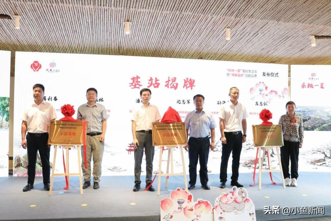 苏州家政公司排名前十_苏州口碑最好的家政公司_苏州家政公司十佳排名