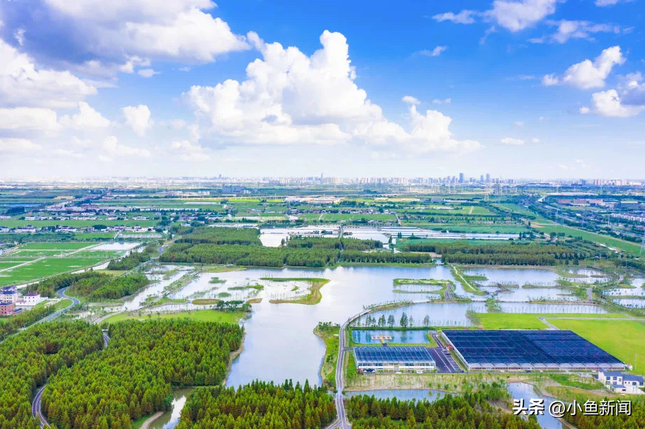 苏州家政公司排名前十_苏州口碑最好的家政公司_苏州家政公司十佳排名