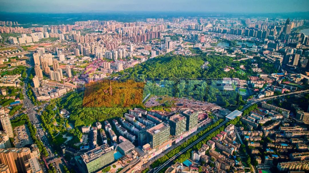 芜湖绿地海顿二手房_安徽芜湖绿地海顿公馆最新房价_芜湖绿地海顿学区