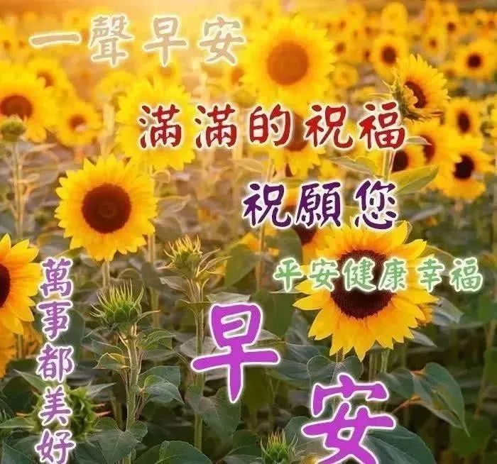 正能量心灵鸡汤语录_心灵鸡汤语录正能量_正能量心灵鸡汤经典语录