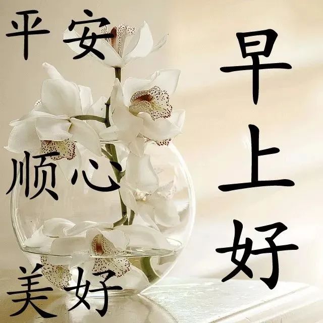 守望心灵的阳光_守望心灵的阳光作文600字_心灵鸡汤:阳光下的守望