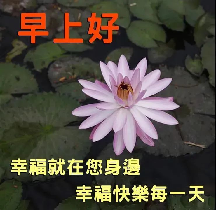 守望心灵的阳光_心灵鸡汤:阳光下的守望_守望心灵的阳光作文600字