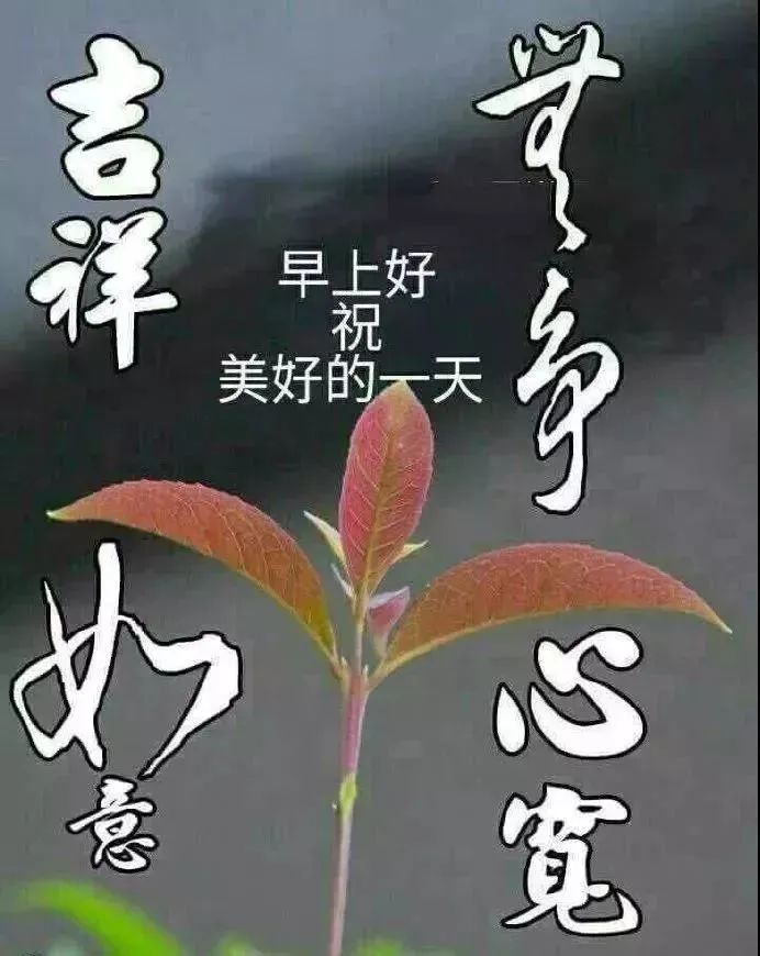 守望心灵的阳光作文600字_守望心灵的阳光_心灵鸡汤:阳光下的守望