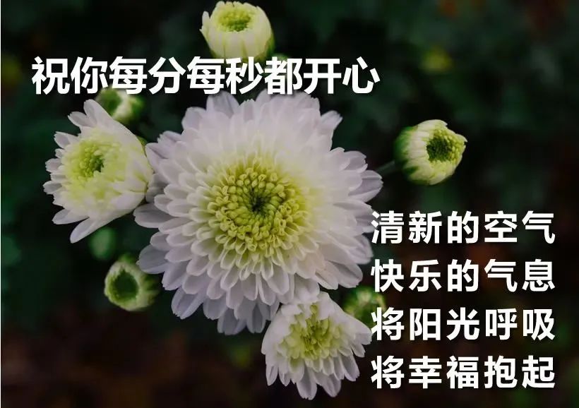 守望心灵的阳光_守望心灵的阳光作文600字_心灵鸡汤:阳光下的守望