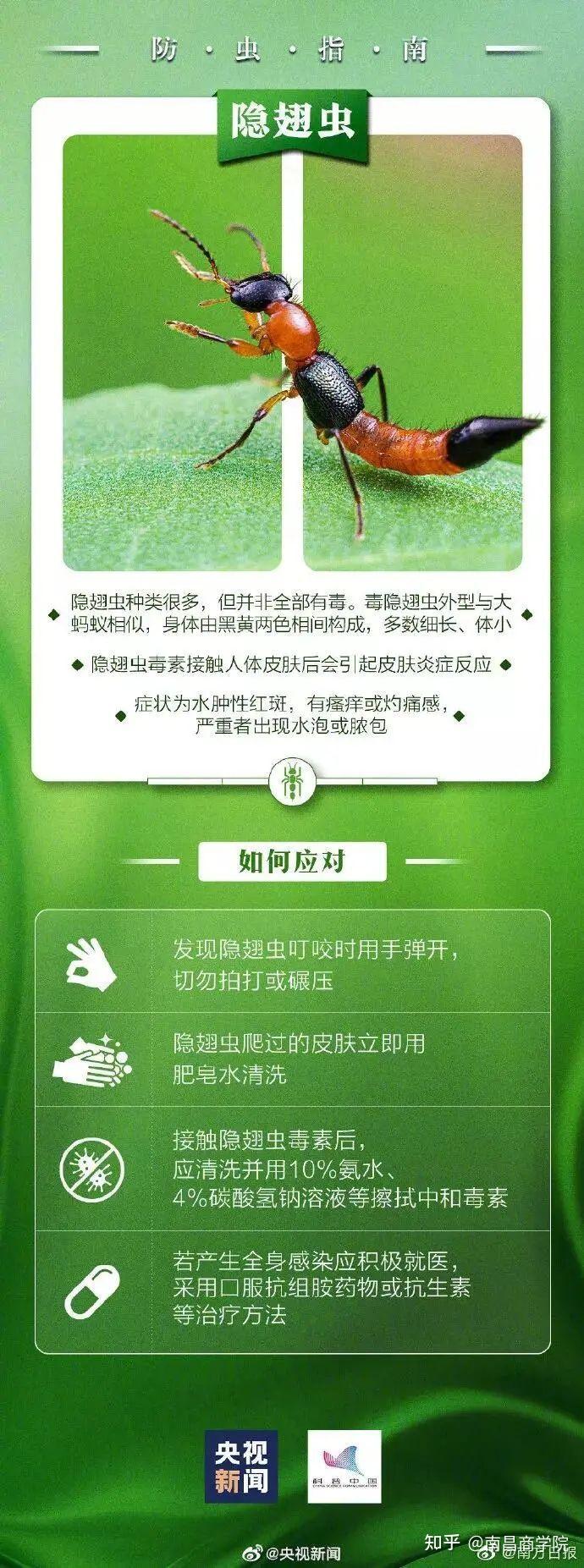 火灾后钢结构检测_火灾中钢结构强度下降_钢结构防火检测