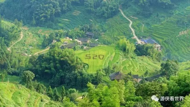 大理旅游防骗注意事项_大理旅游被骗怎么投诉_大理事项旅游防骗注意哪些问题