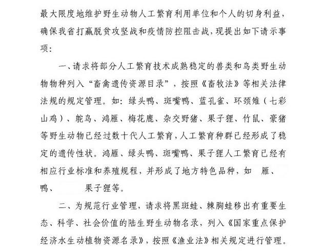 养殖果子狸有销路吗_养殖果子狸犯法吗_养殖果子狸是骗局吗