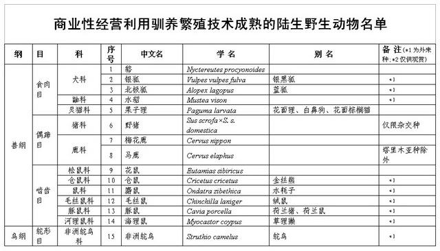 养殖果子狸是骗局吗_养殖果子狸有销路吗_养殖果子狸犯法吗