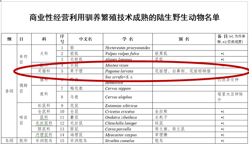 养殖果子狸犯法吗_养殖果子狸是骗局吗_2020年养殖果子狸赔偿