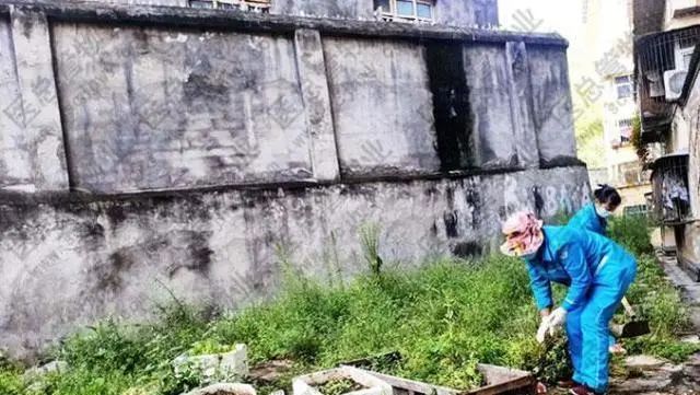 医院清洁工岗位职责_医院清洁工管理制度_医院的清洁工作