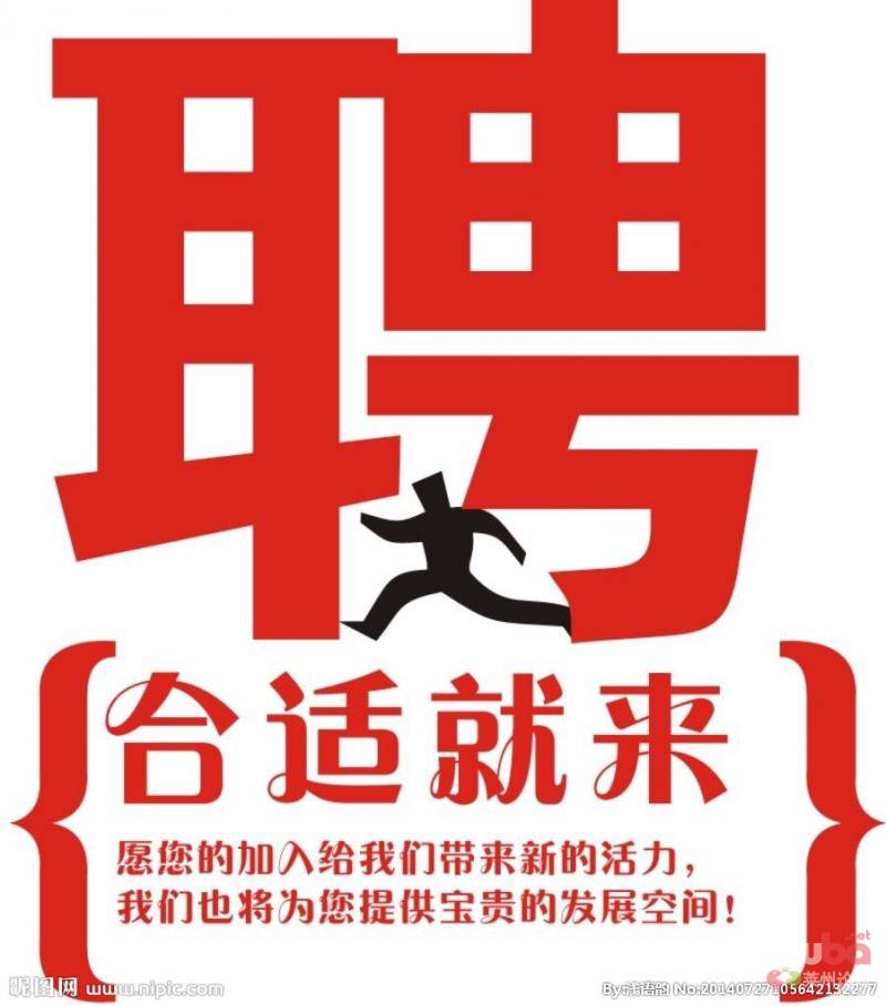 招聘31名！