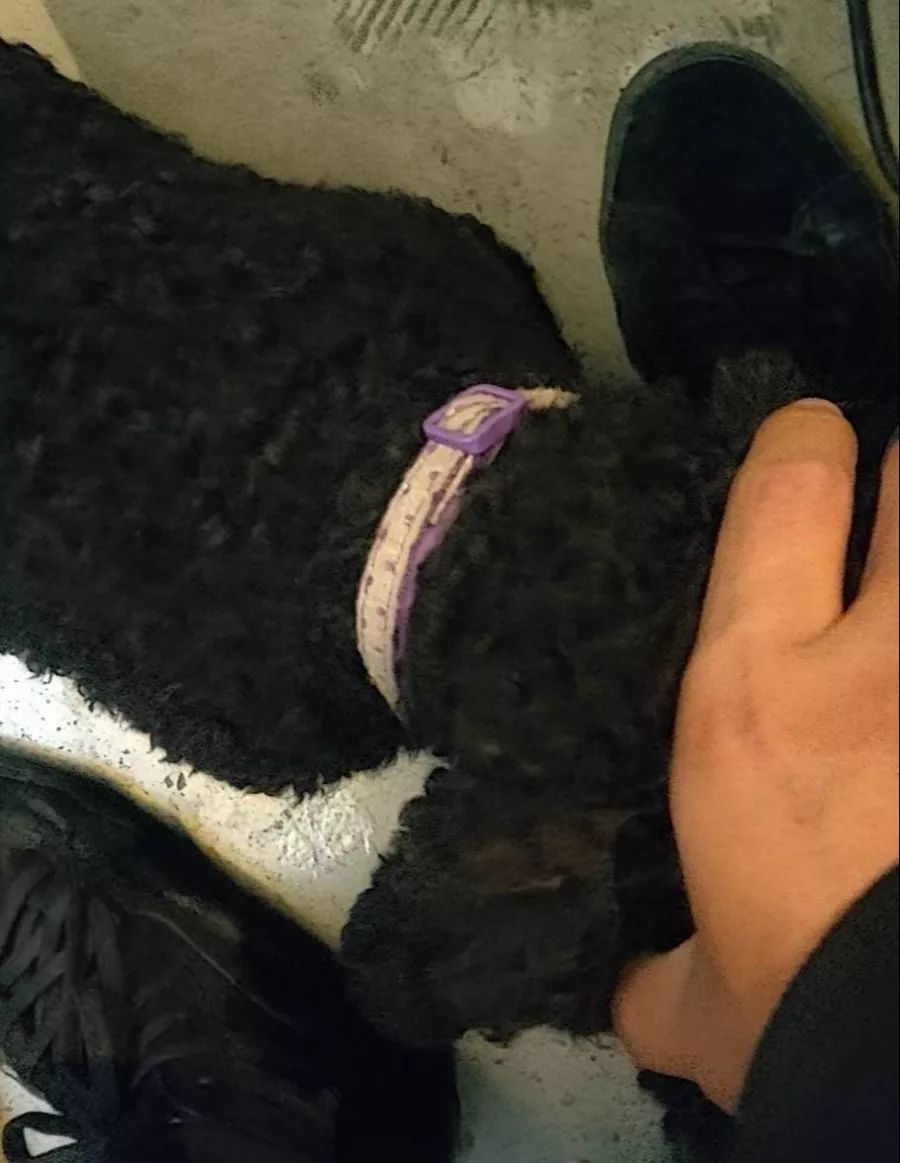 江淮二手车交易市场江淮二手车_江淮m3二手车_江淮二手车价格