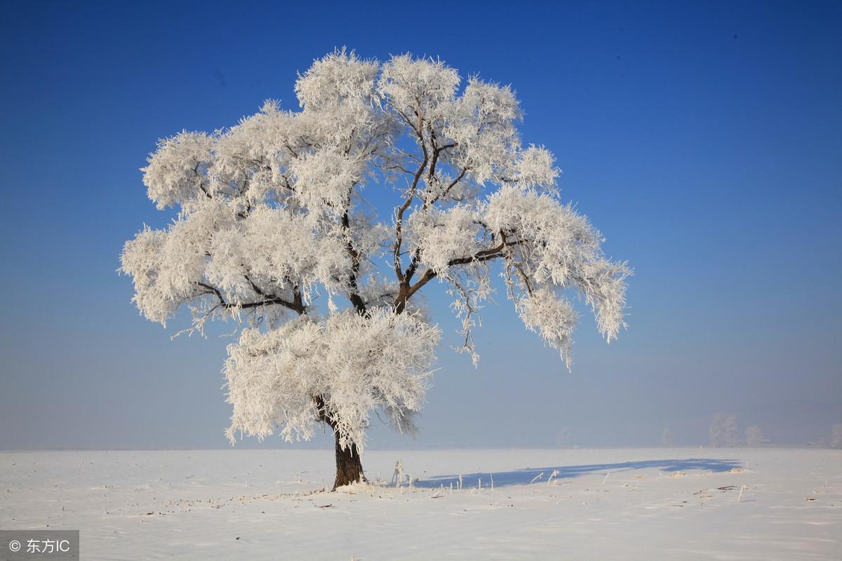 教师资格面试技巧_面试资格技巧教师怎么考_面试流程教师