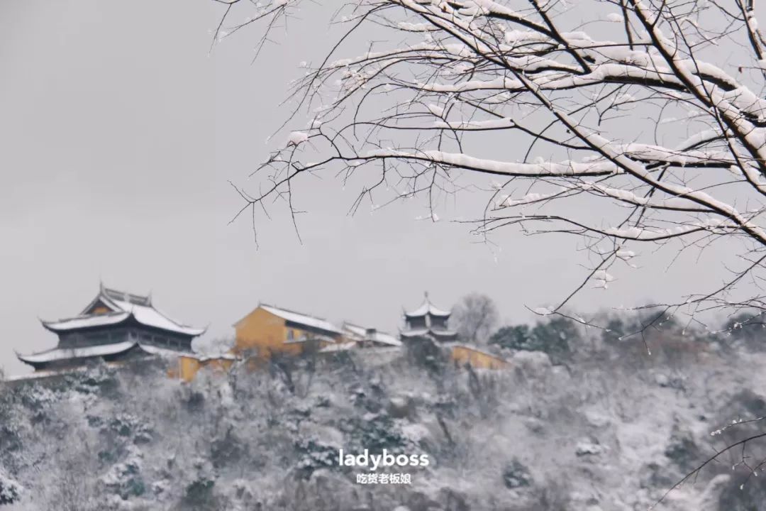 天天p图软件教程_图文教程软件_教程图片