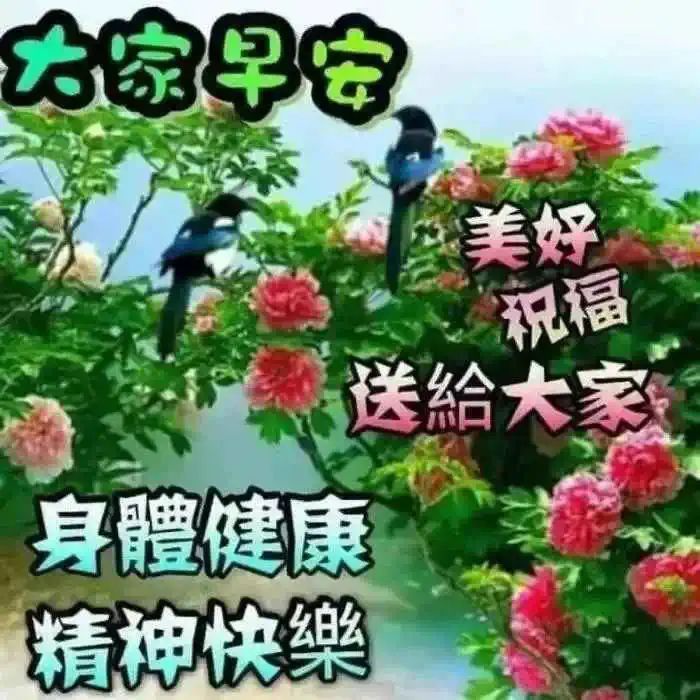 友情鸡汤句子_友情心灵鸡汤经典语录_友情心灵鸡汤