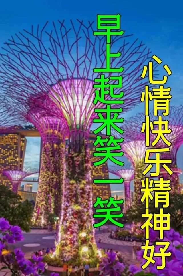 友情心灵鸡汤_友情鸡汤句子_友情心灵鸡汤经典语录