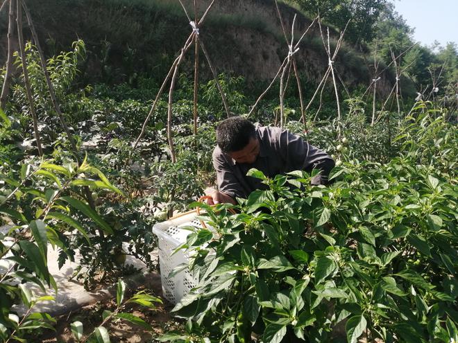 钢结构焊接焊工资格_焊钢结构需要什么焊工证_钢结构焊工证