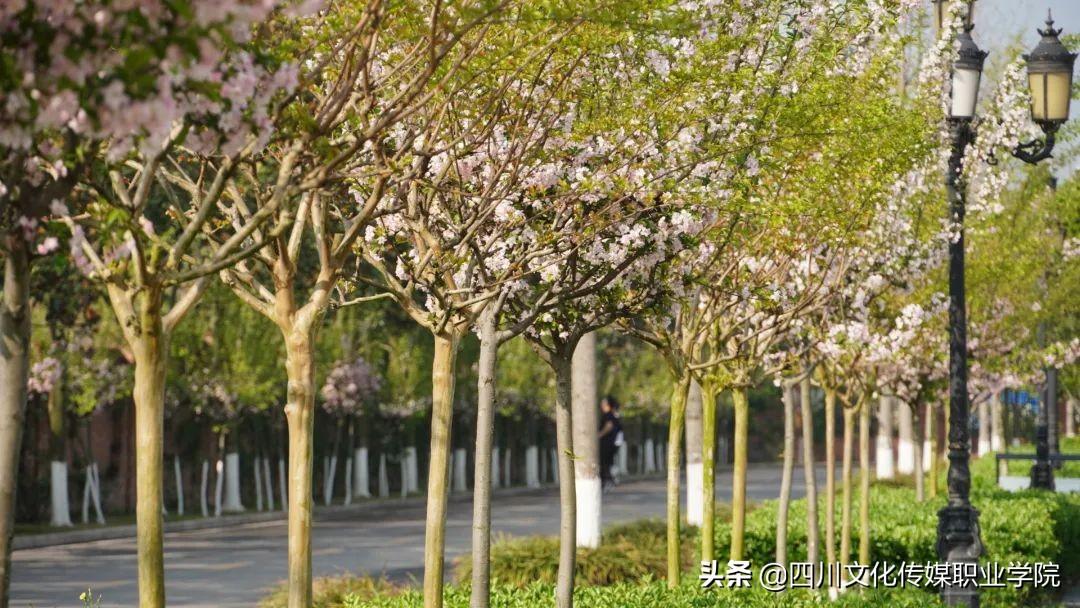 英语教师岗位职责_英语教师职责描述_英语教师职责范围
