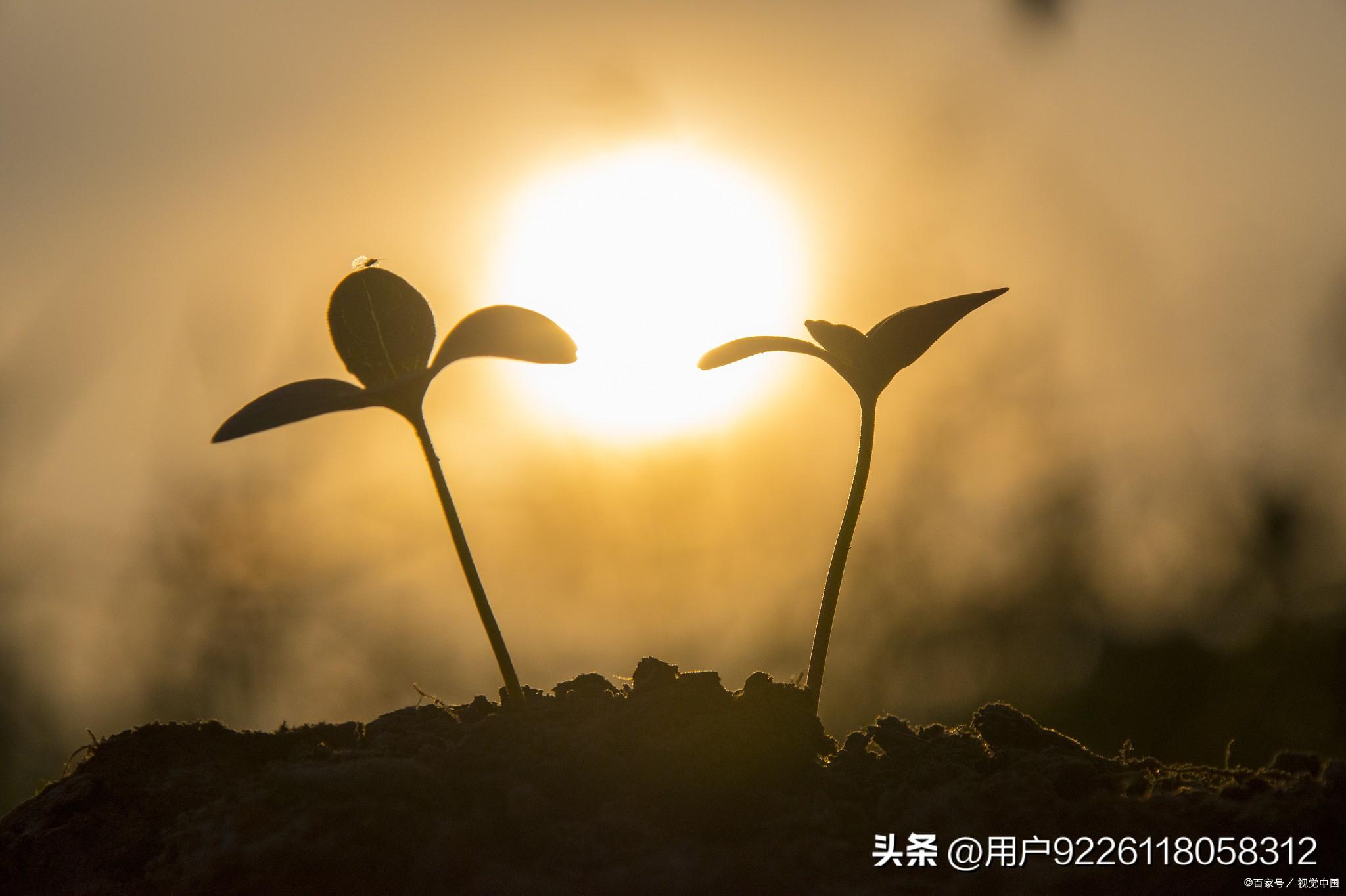 音乐心灵鸡汤的歌名_心灵鸡汤背景音乐_心灵鸡汤纯音乐