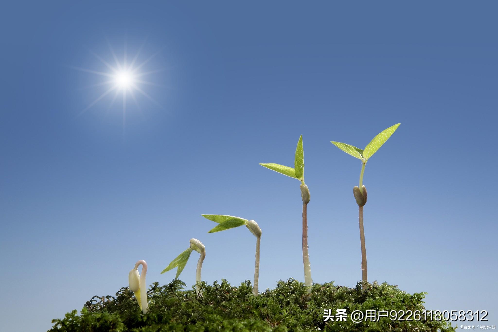 心灵鸡汤纯音乐_心灵鸡汤背景音乐_音乐心灵鸡汤的歌名