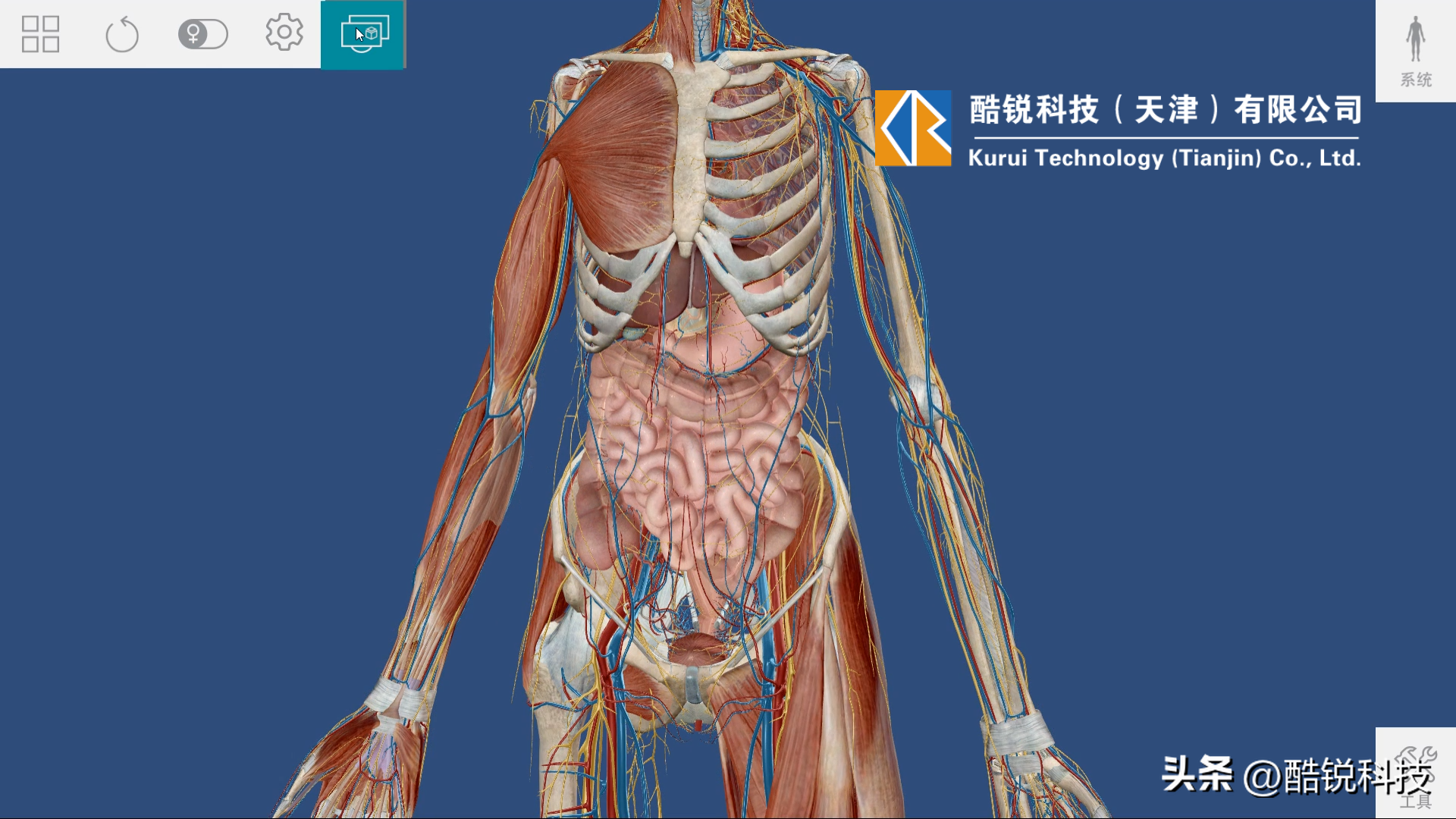 医学生用的3d解剖软件_人体解剖软件_解剖三维软件