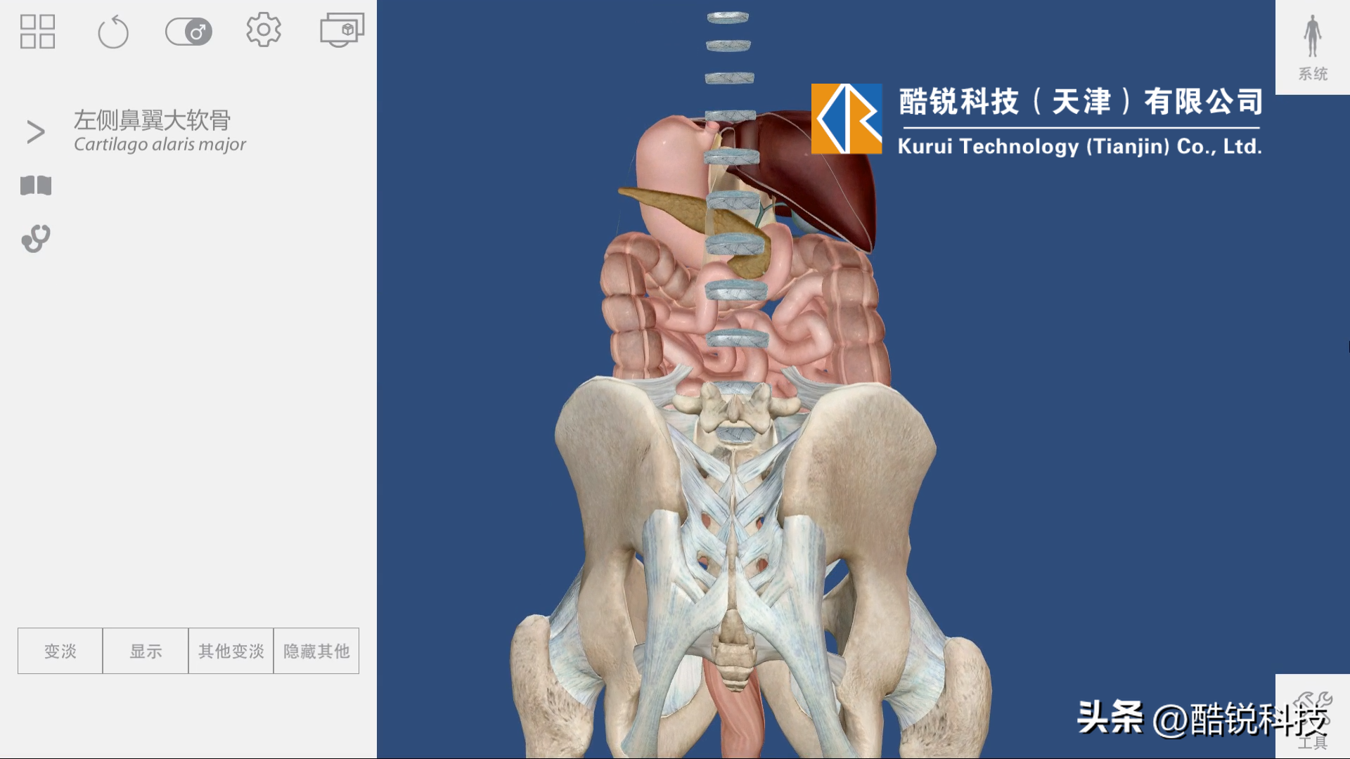 解剖三维软件_人体解剖软件_医学生用的3d解剖软件