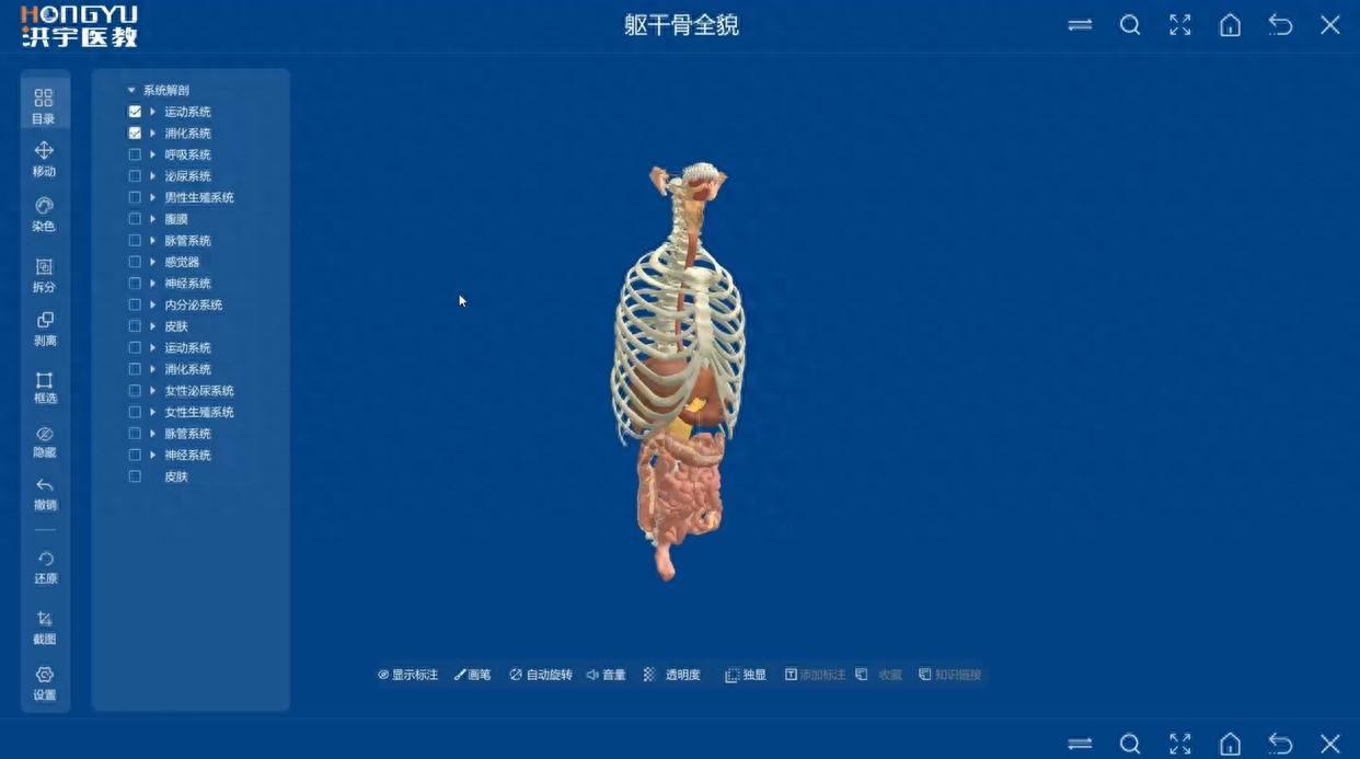 解剖软件免费_医学生用的3d解剖软件_解剖三维软件