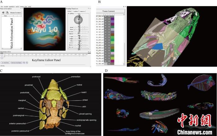 解剖软件app哪个最好用_解剖三维软件_医学生用的3d解剖软件