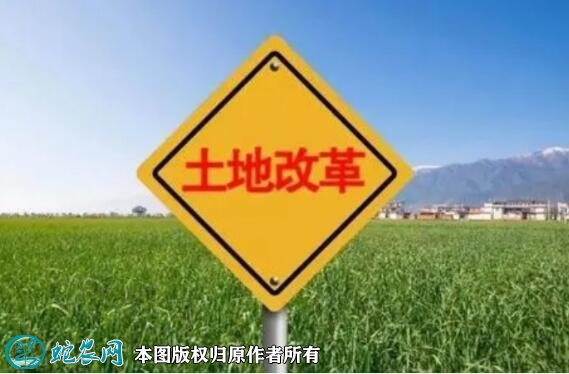 农业土地政策目标是什么_农业定义土地政策有哪些_农业土地政策的定义