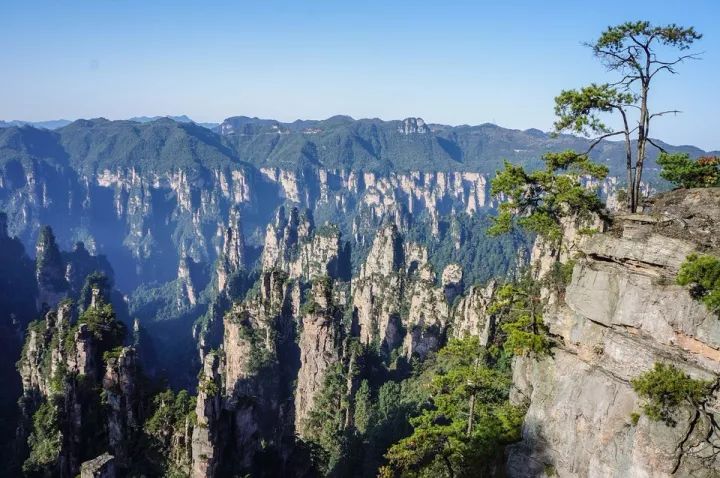 我想看职场动漫_职场男动漫头像_职场男性动画