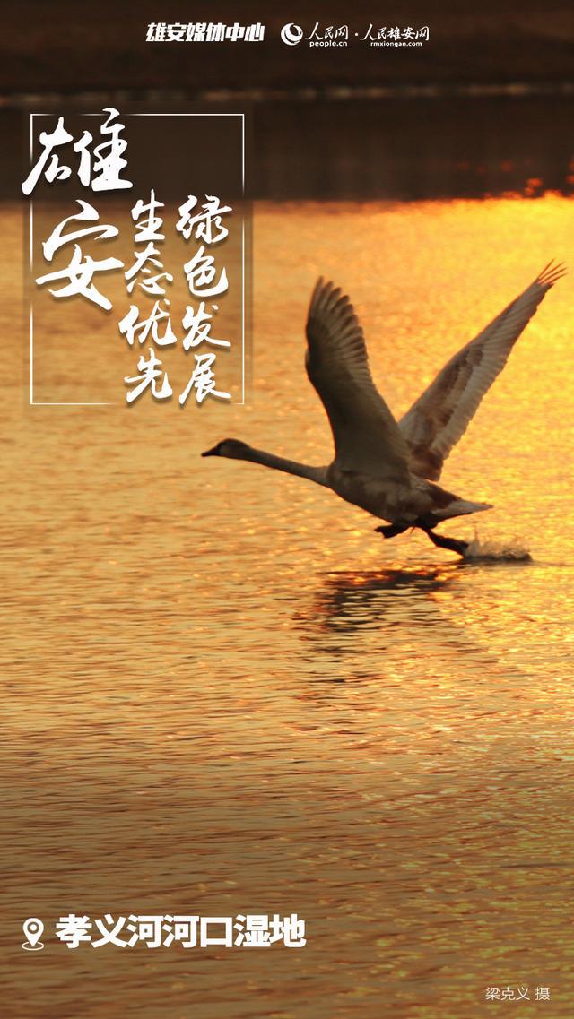 招聘_招聘平台免费_招聘58同城找工作