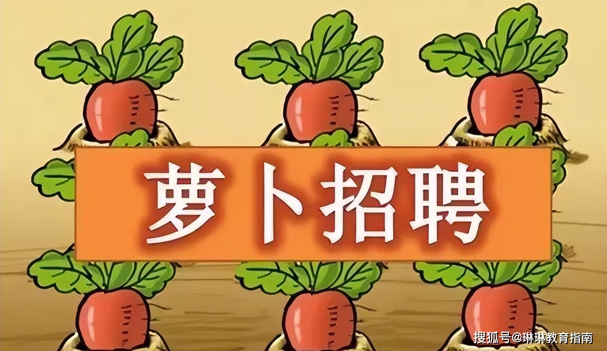 招聘 “萝卜招聘”“近亲繁殖”？中组部、人社部最新明确——