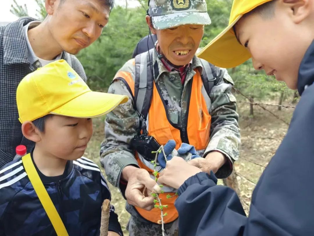 溪谷软件在什么地方_溪谷软件h5游戏平台系统_溪谷软件怎么样