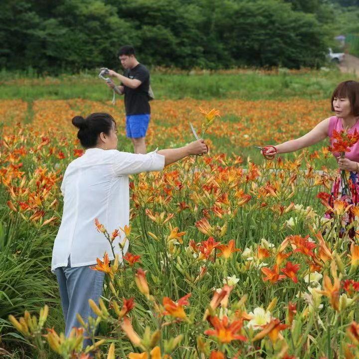 越努力越幸运心灵鸡汤_幸运的心灵鸡汤_心灵鸡汤努力的句子