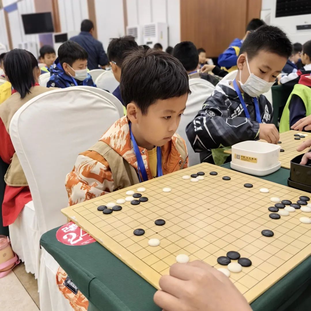 学围棋软件_学习围棋软件_围棋初学软件