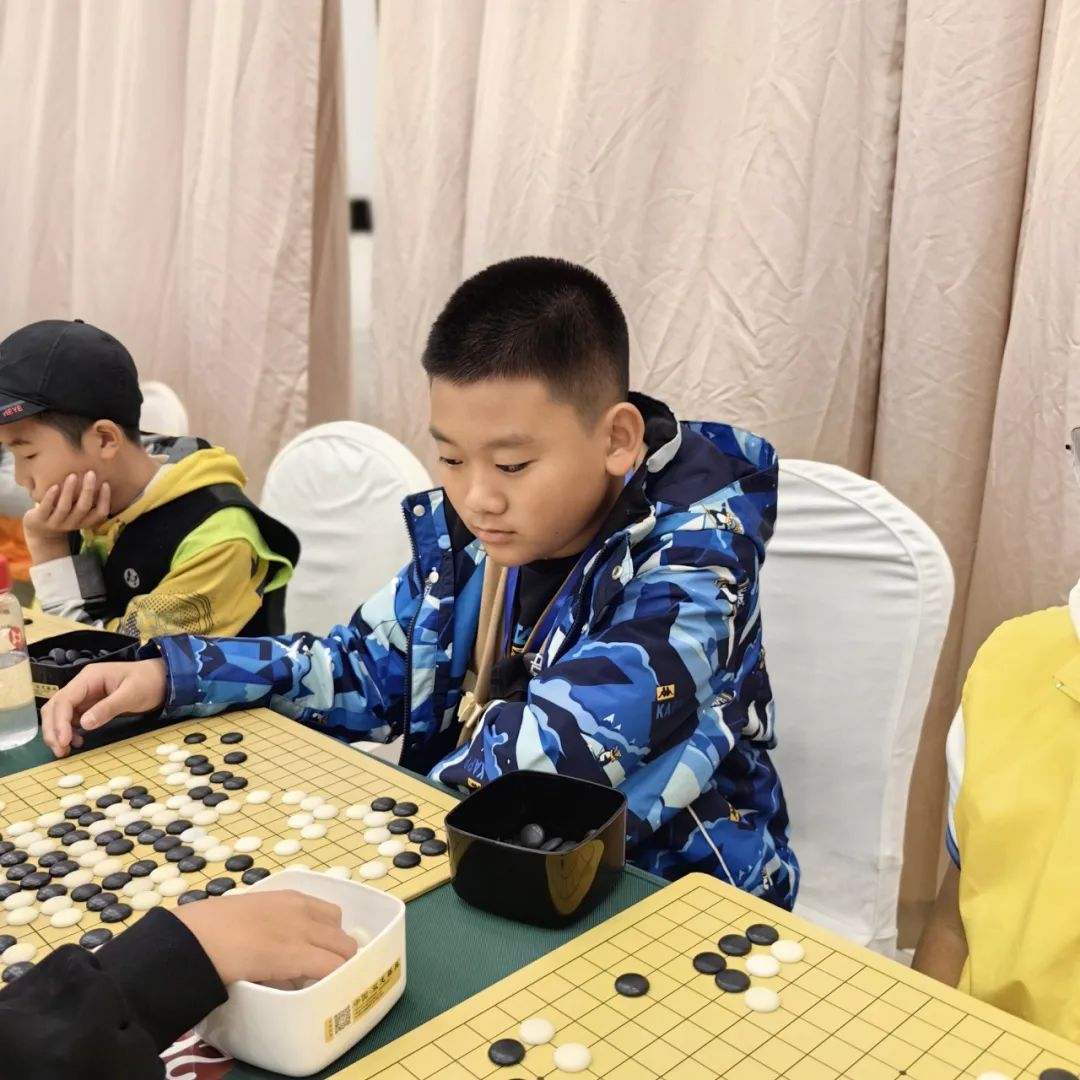 学围棋软件_围棋初学软件_学习围棋软件