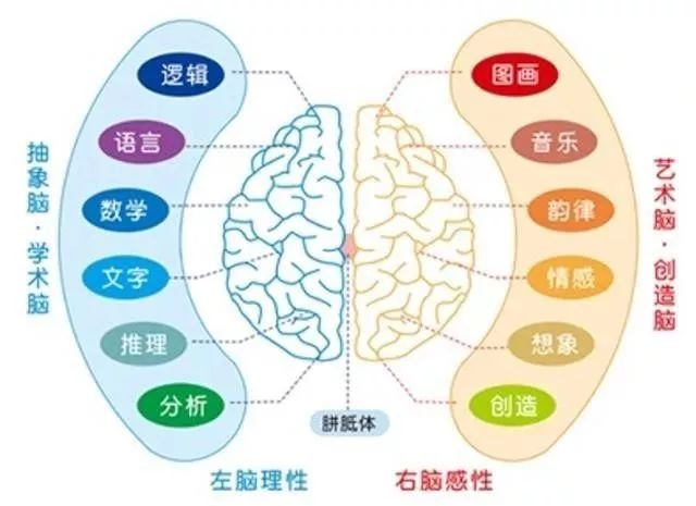 围棋入门软件_学习围棋软件_围棋入门教学软件