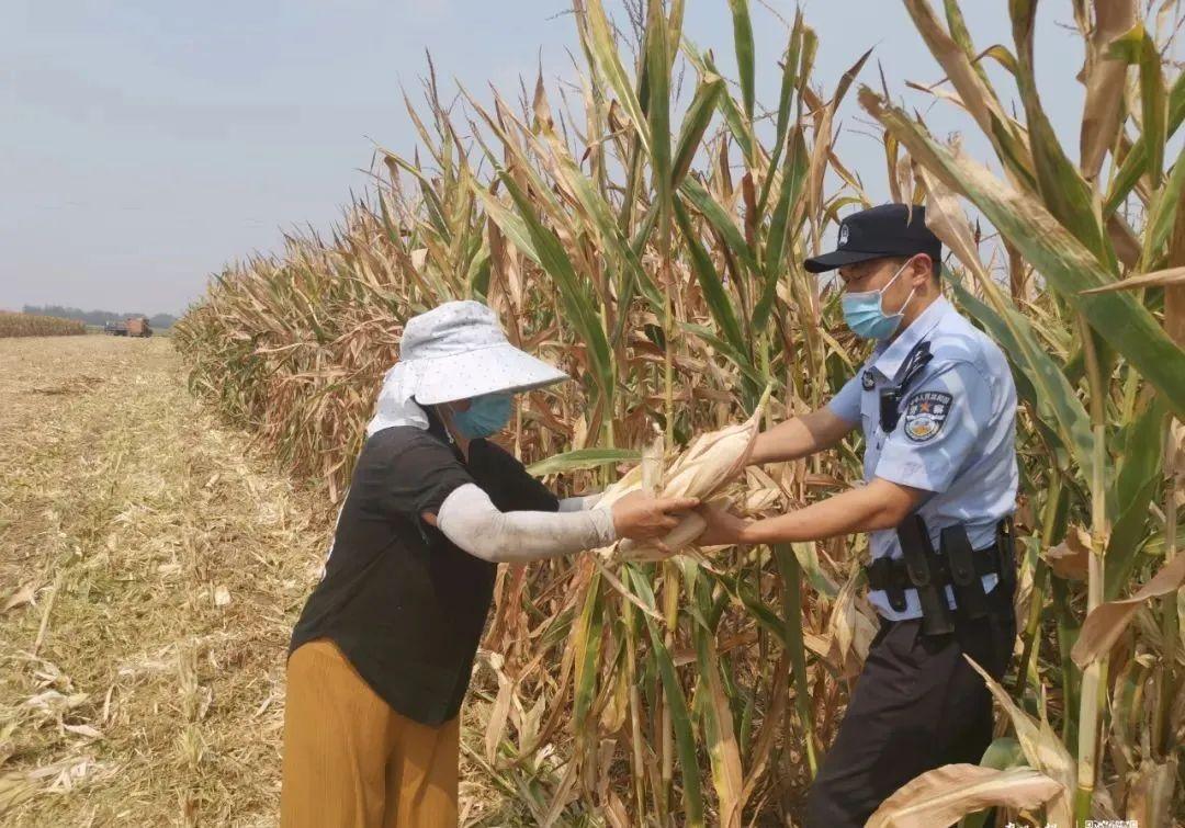 防范盗抢骗宣传标语_防盗防骗宣传语_防盗抢骗宣传标语