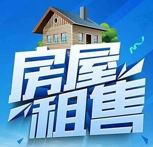 孟津招聘招聘司机招聘_招聘平台免费_招聘