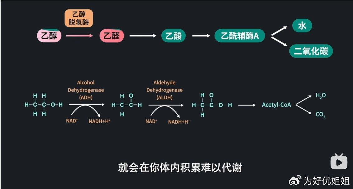 职场女人在酒桌上的场面话_女人职场喝酒_职场喝酒的女人