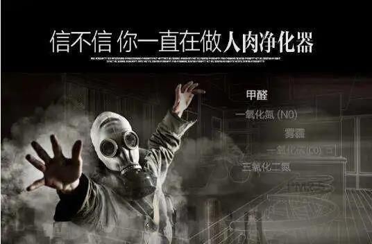 墙面装修环保材料哪种好_墙面装修环保材料推荐_最环保的墙面装修材料